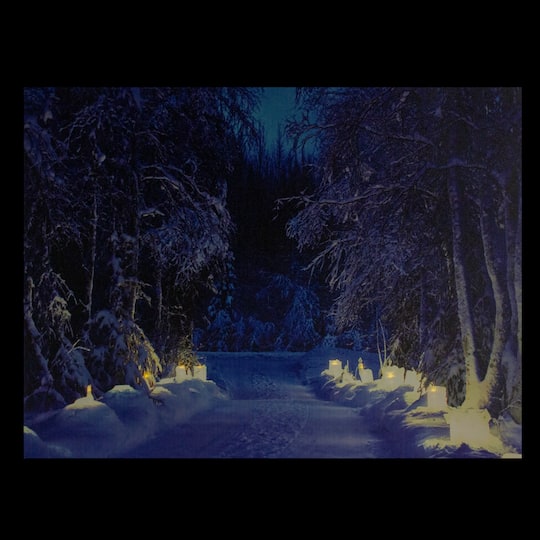 LED Lighted Nighttime In The Woods Winter Scene Canvas Wall Art